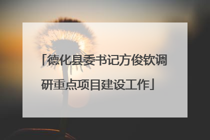 德化县委书记方俊钦调研重点项目建设工作