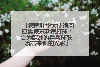 德国驻华大使馆回应樊振东赴德打球：会为欧洲的乒乓球联赛带来新的光彩
