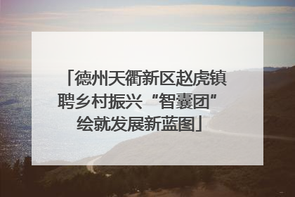 德州天衢新区赵虎镇聘乡村振兴“智囊团” 绘就发展新蓝图