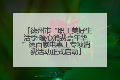 德州市“职工美好生活季·暖心消费嘉年华”德百家电惠工专项消费活动正式启动