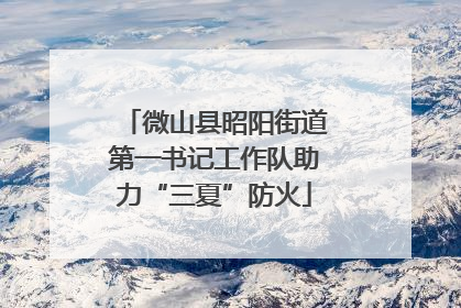 微山县昭阳街道第一书记工作队助力“三夏”防火