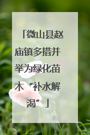 微山县赵庙镇多措并举为绿化苗木“补水解渴”