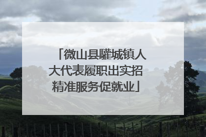 微山县驩城镇人大代表履职出实招精准服务促就业