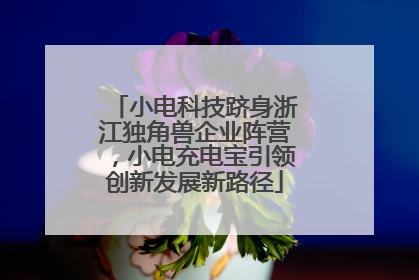 小电科技跻身浙江独角兽企业阵营，小电充电宝引领创新发展新路径