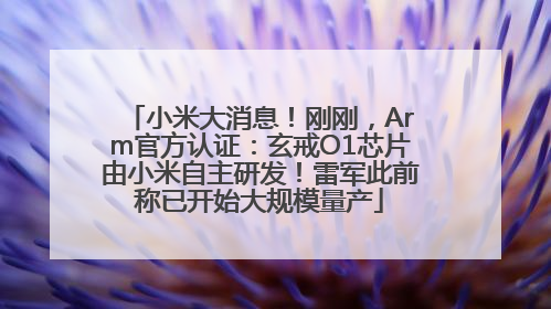 小米大消息！刚刚，Arm官方认证：玄戒O1芯片由小米自主研发！雷军此前称已开始大规模量产