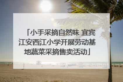 小手采摘自然味 宜宾江安西江小学开展劳动基地蔬菜采摘售卖活动