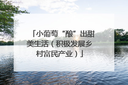 小葡萄“酿”出甜美生活（积极发展乡村富民产业）