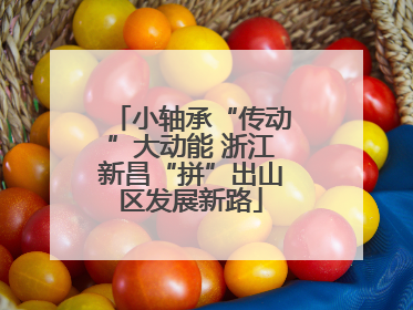 小轴承“传动”大动能 浙江新昌“拼”出山区发展新路