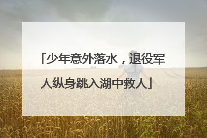 少年意外落水，退役军人纵身跳入湖中救人