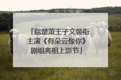 屈楚萧王子文领衔主演《有朵云像你》剧组亮相上影节