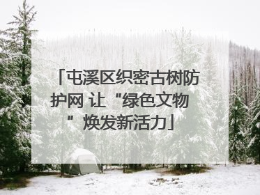 屯溪区织密古树防护网 让“绿色文物”焕发新活力