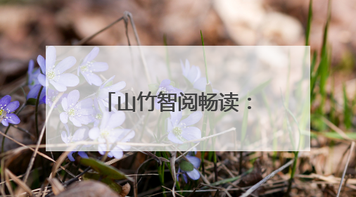 山竹智阅畅读：系统化路径助力个体多维成长