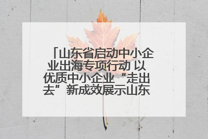 山东省启动中小企业出海专项行动 以优质中小企业“走出去”新成效展示山东产业发展新形象