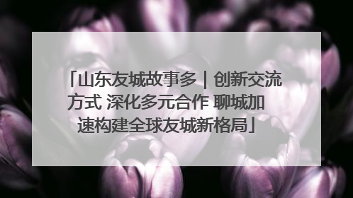 山东友城故事多｜创新交流方式 深化多元合作 聊城加速构建全球友城新格局