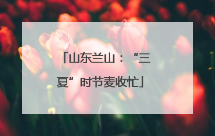 山东兰山：“三夏”时节麦收忙