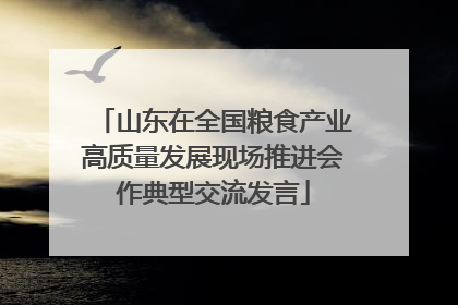 山东在全国粮食产业高质量发展现场推进会作典型交流发言