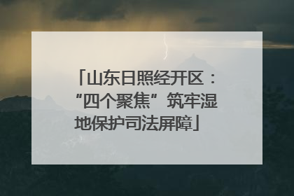 山东日照经开区：“四个聚焦”筑牢湿地保护司法屏障