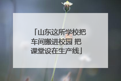 山东这所学校把车间搬进校园 把课堂设在生产线
