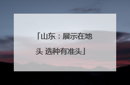 山东：展示在地头 选种有准头
