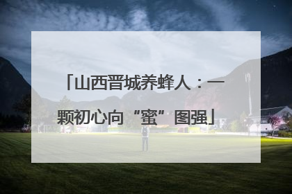 山西晋城养蜂人：一颗初心向“蜜”图强