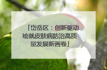 岱岳区：创新驱动绘就皮肤病防治高质量发展新画卷