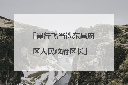 崔行飞当选东昌府区人民政府区长