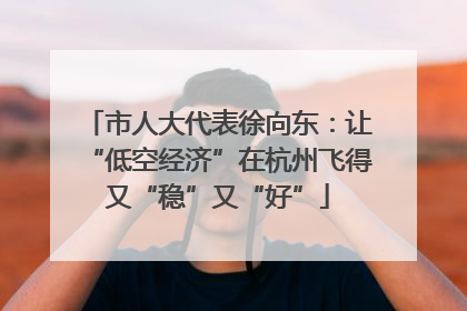 市人大代表徐向东：让“低空经济”在杭州飞得又“稳”又“好”