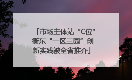 市场主体站“C位” 衡东“一区三园”创新实践被全省推介
