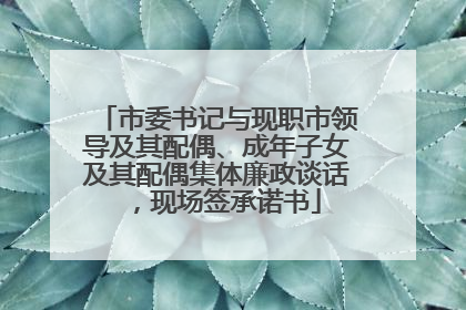 市委书记与现职市领导及其配偶、成年子女及其配偶集体廉政谈话，现场签承诺书