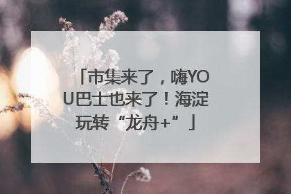 市集来了，嗨YOU巴士也来了！海淀玩转“龙舟+”