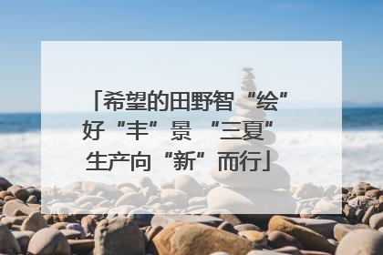 希望的田野智“绘”好“丰”景 “三夏”生产向“新”而行