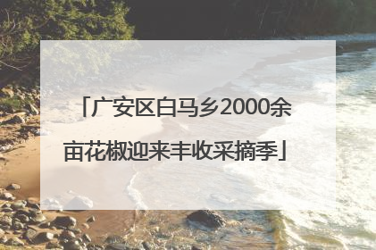 广安区白马乡2000余亩花椒迎来丰收采摘季
