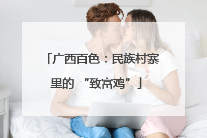 广西百色：民族村寨里的 “致富鸡”