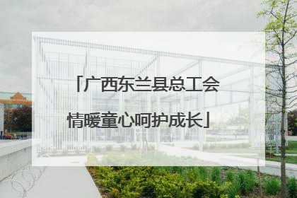 广西东兰县总工会情暖童心呵护成长