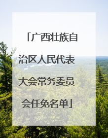 广西壮族自治区人民代表大会常务委员会任免名单