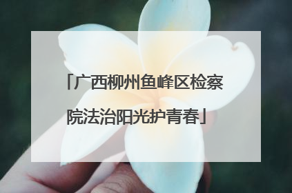 广西柳州鱼峰区检察院法治阳光护青春