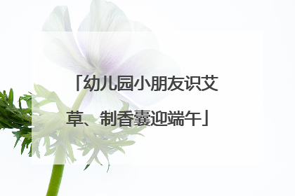 幼儿园小朋友识艾草、制香囊迎端午