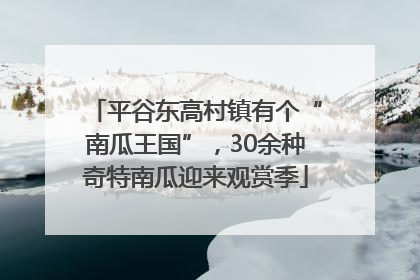 平谷东高村镇有个“南瓜王国”，30余种奇特南瓜迎来观赏季