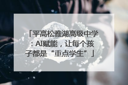 平高松雅湖高级中学：AI赋能，让每个孩子都是“重点学生”