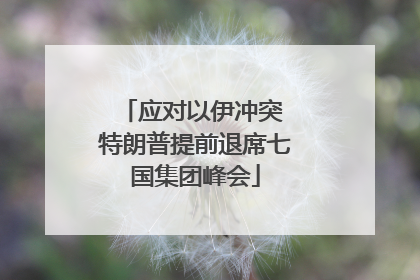 应对以伊冲突 特朗普提前退席七国集团峰会