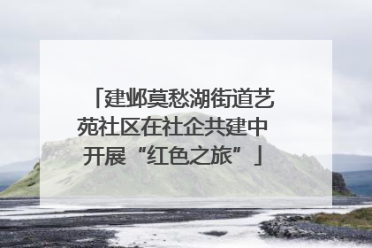 建邺莫愁湖街道艺苑社区在社企共建中开展“红色之旅”