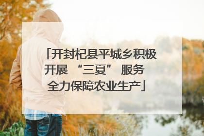 开封杞县平城乡积极开展 “三夏” 服务 全力保障农业生产