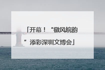 开幕！“徽风皖韵”添彩深圳文博会