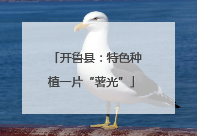 开鲁县：特色种植一片“薯光”