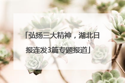 弘扬三大精神，湖北日报连发3篇专题报道