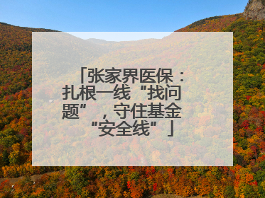 张家界医保：扎根一线“找问题”，守住基金“安全线”