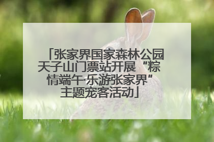 张家界国家森林公园天子山门票站开展“粽情端午·乐游张家界”主题宠客活动