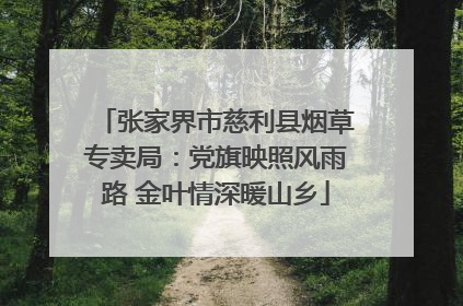 张家界市慈利县烟草专卖局：党旗映照风雨路 金叶情深暖山乡