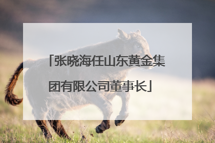 张晓海任山东黄金集团有限公司董事长