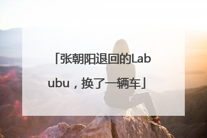 张朝阳退回的Labubu，换了一辆车